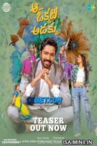 Aa Okkati Adakku (2024) Telugu Movie